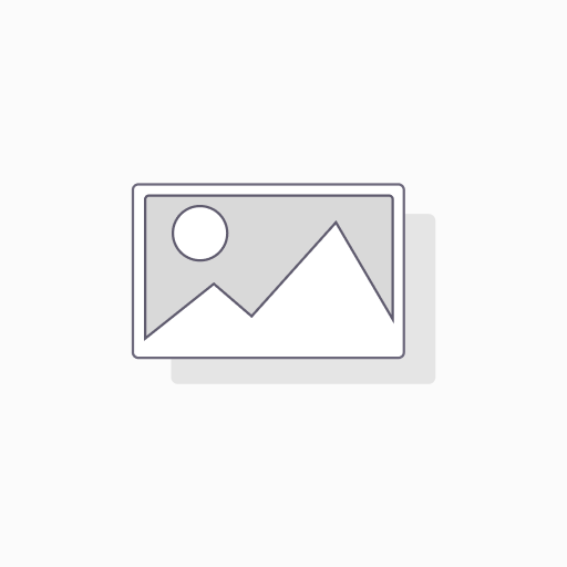 [ELR003] radiocommande 12v (BERNARD)